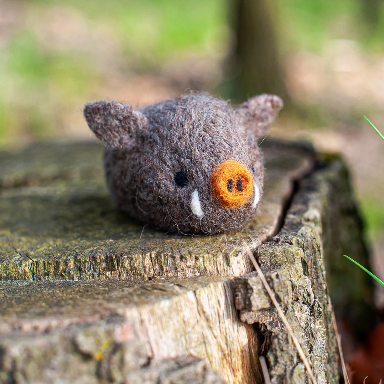 Felting Kit - Boar - Image 6