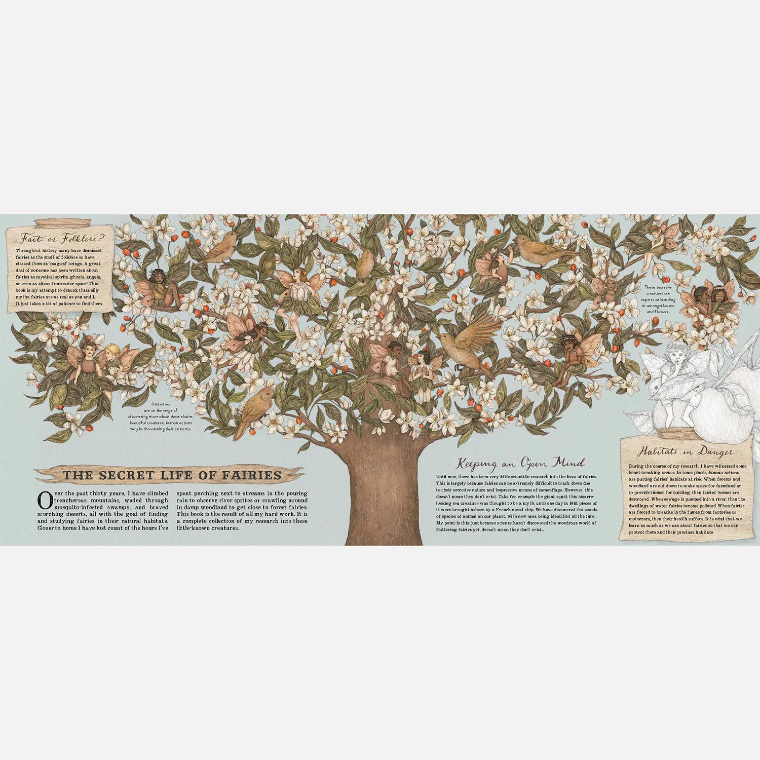 A Natural History Of Fairies - Image 3
