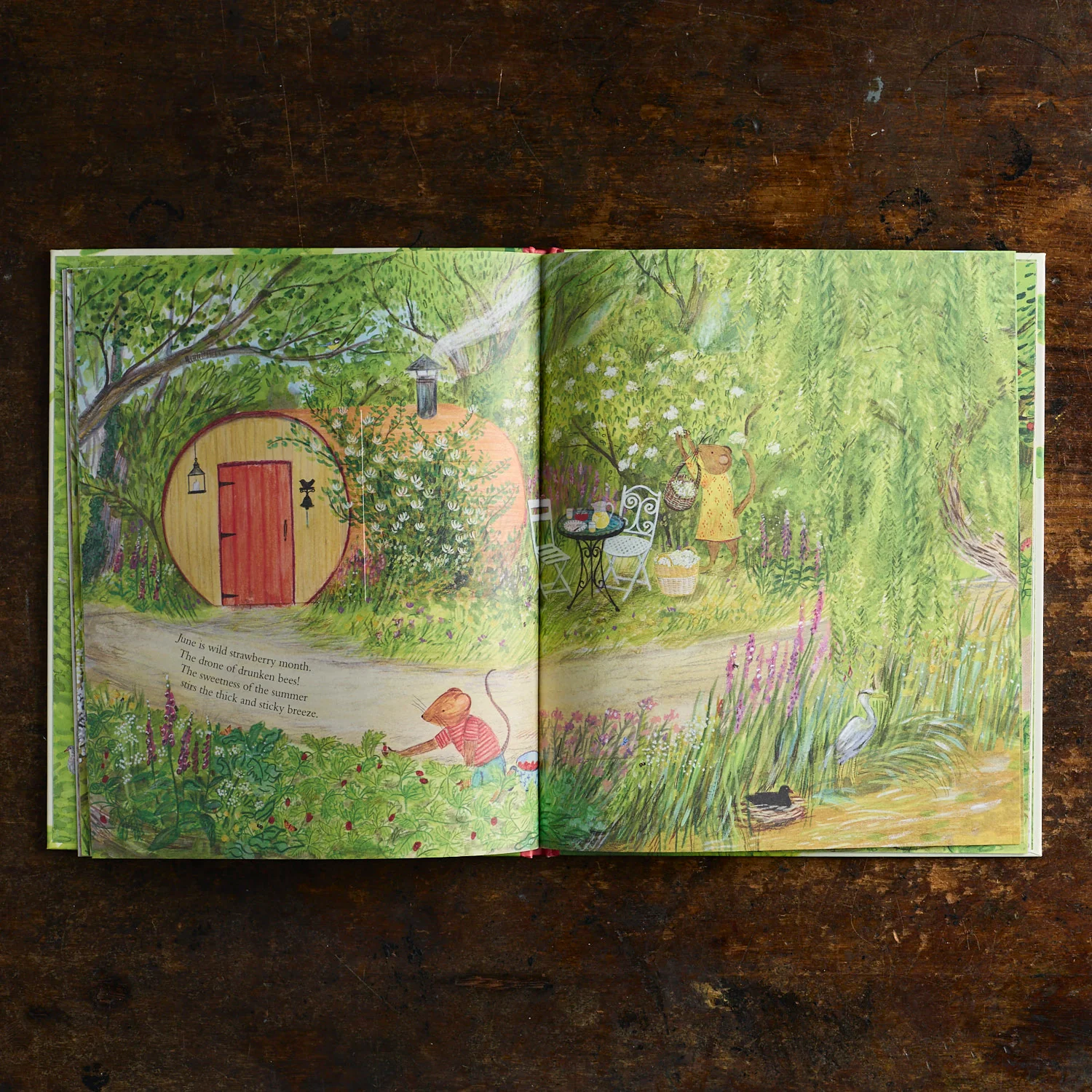 Mouse' Wood: A Year in Nature - Image 2