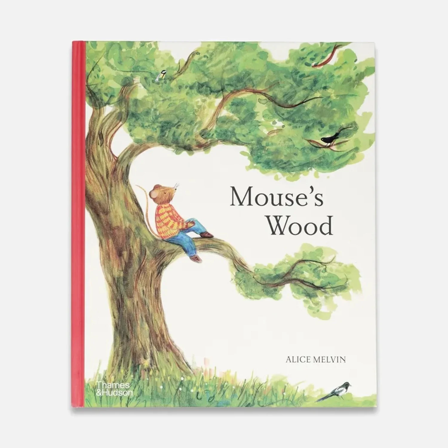 Mouse' Wood: A Year in Nature - Image 7