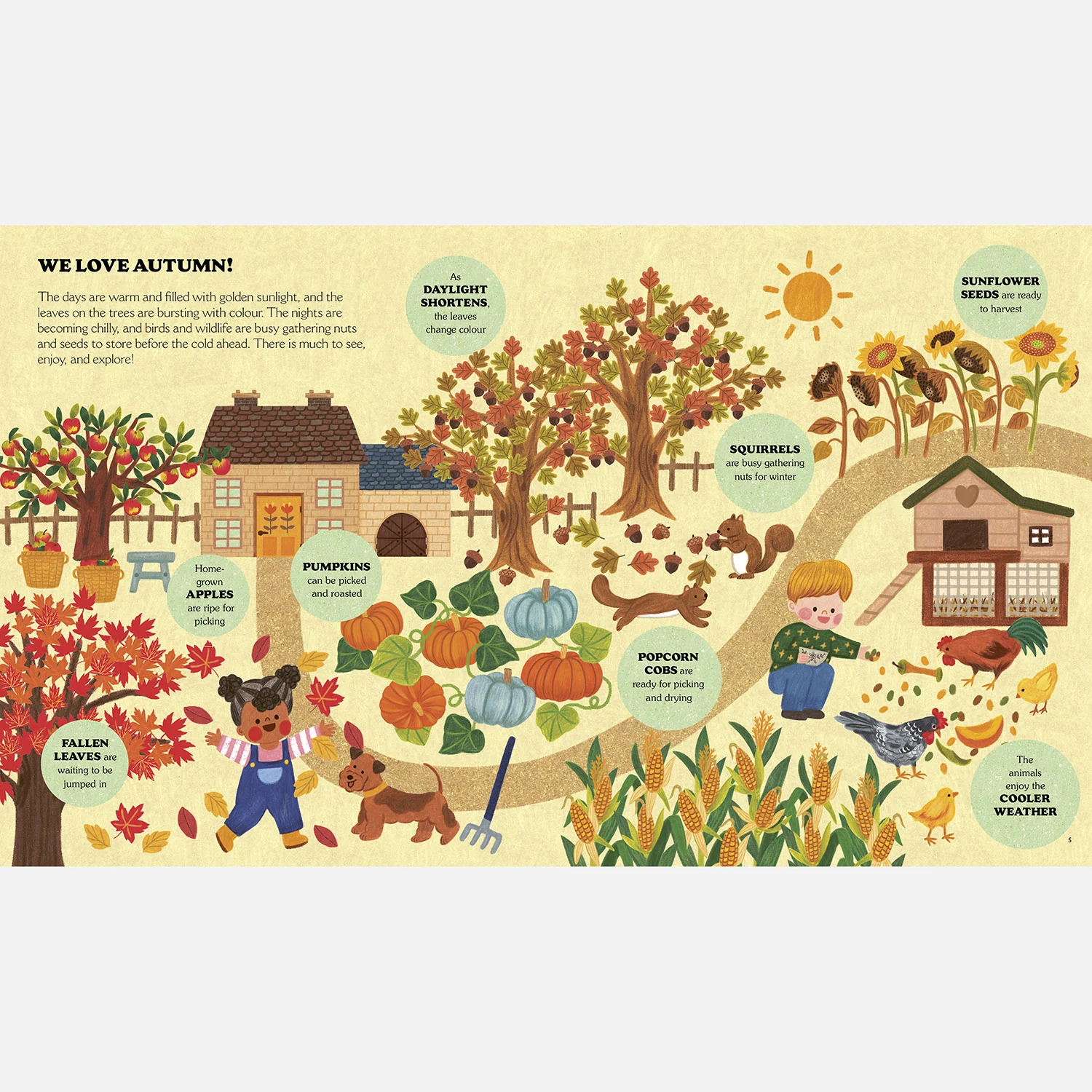 Little Country Cottage: An Autumn Treasury of Recipes, Crafts and Wisdom - Image 3