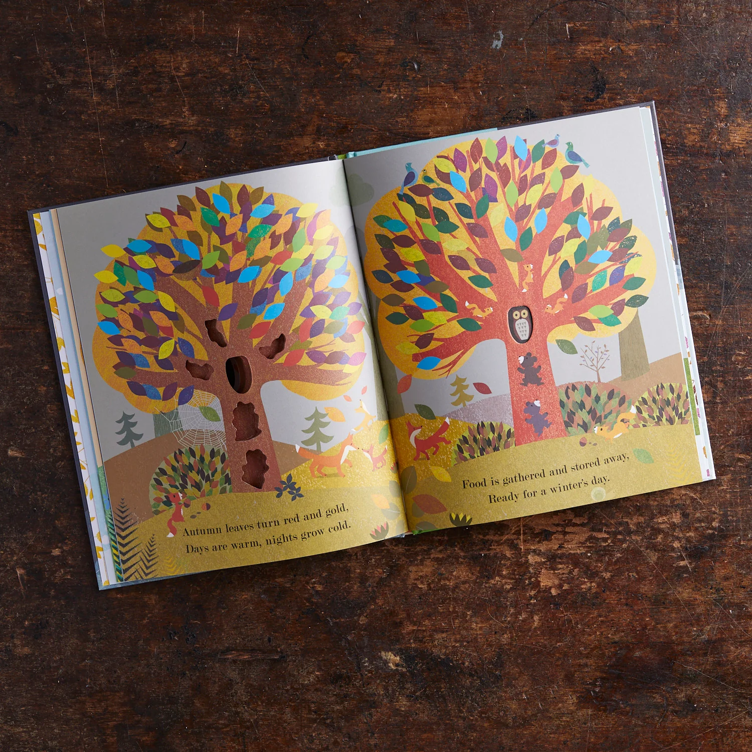 Tree - Image 2