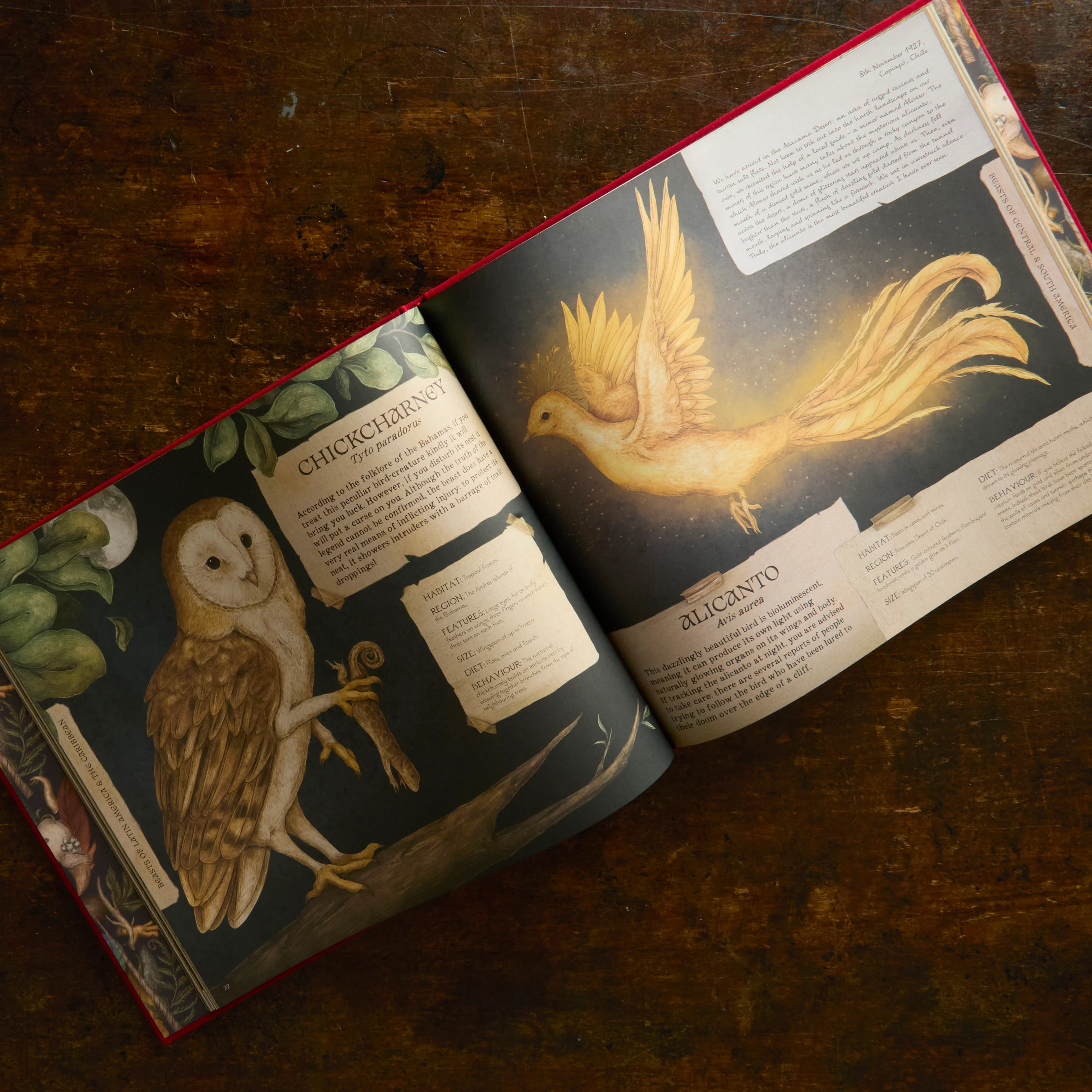 A Natural History of Magical Beasts - Image 2