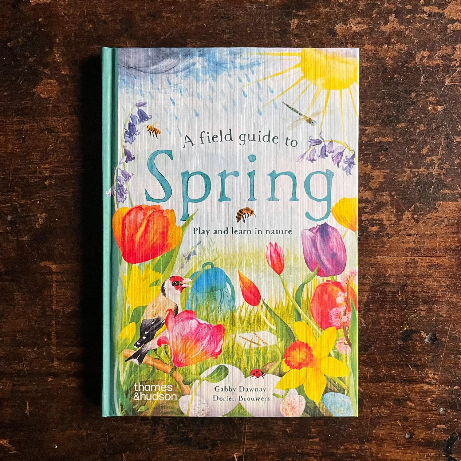 A Field Guide to Spring Play and Learn in Nature