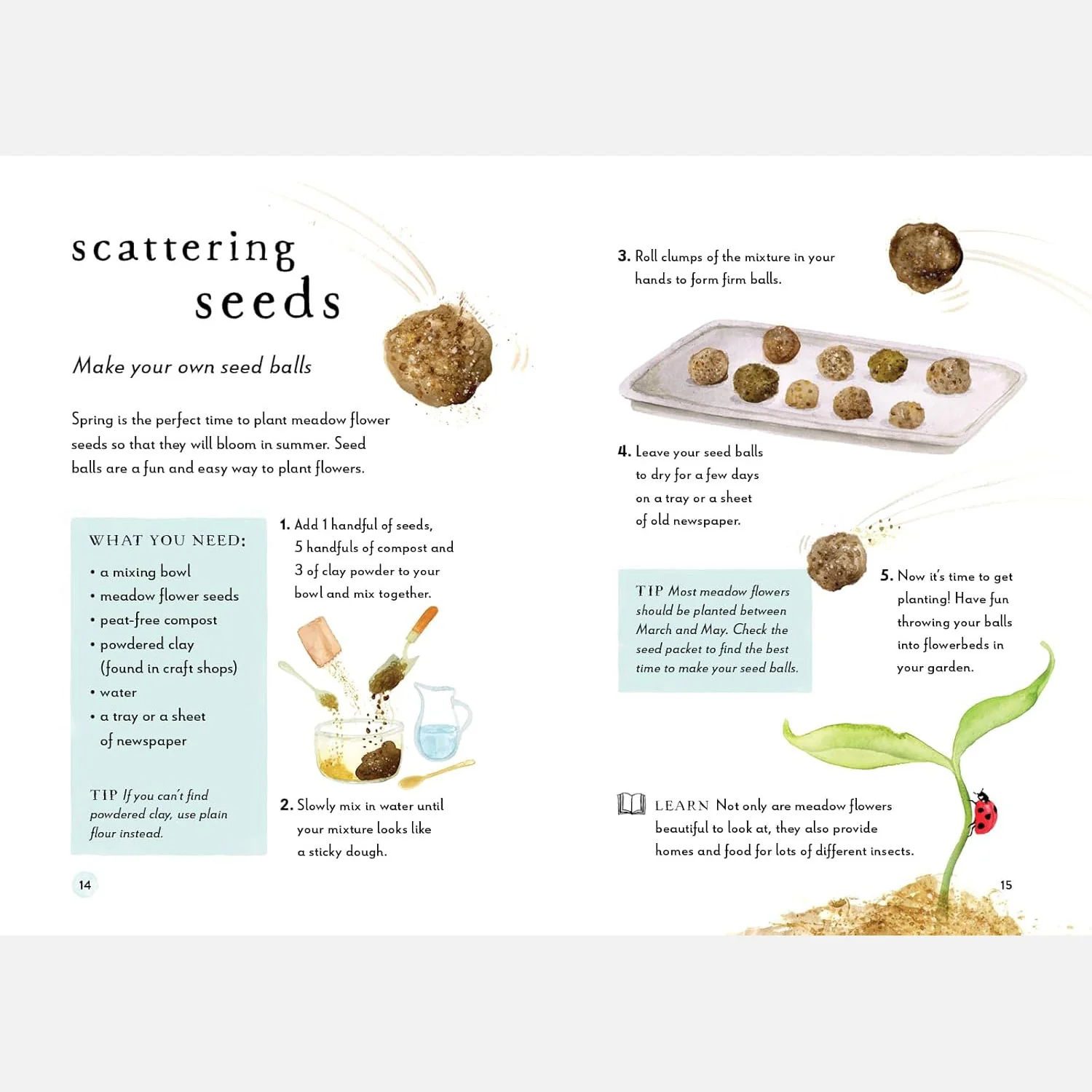 A Field Guide to Spring Play and Learn in Nature - Image 10