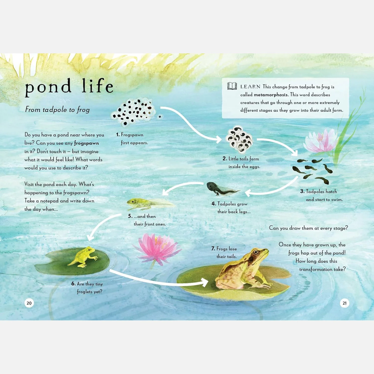 A Field Guide to Spring Play and Learn in Nature - Image 11