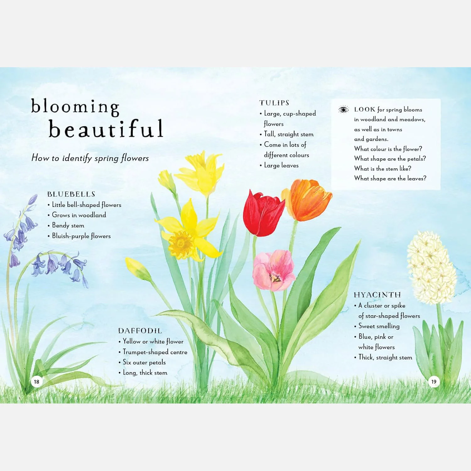 A Field Guide to Spring Play and Learn in Nature - Image 6