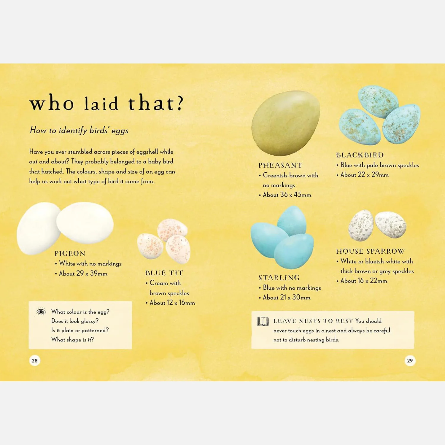A Field Guide to Spring Play and Learn in Nature - Image 7