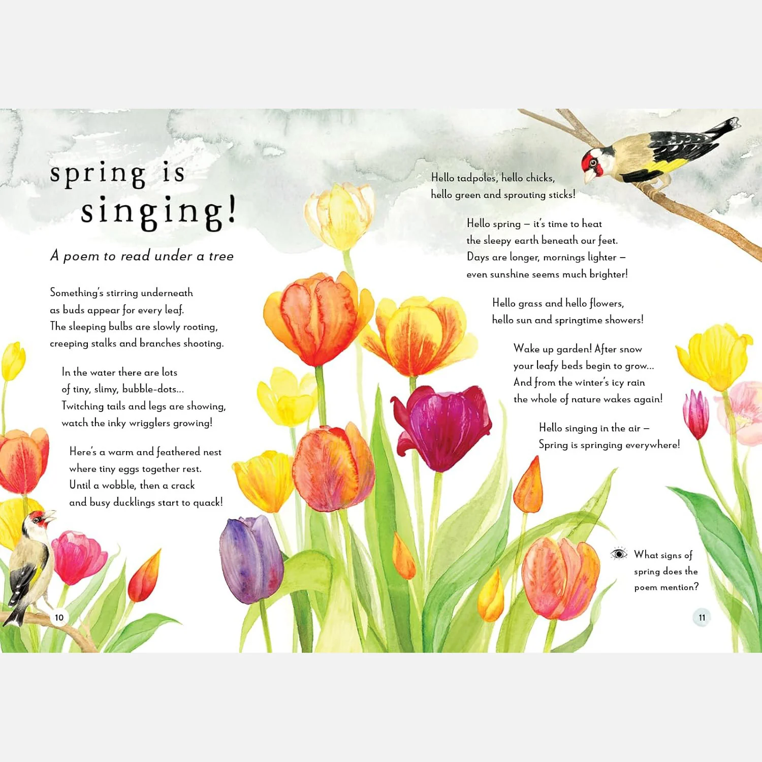 A Field Guide to Spring Play and Learn in Nature - Image 8