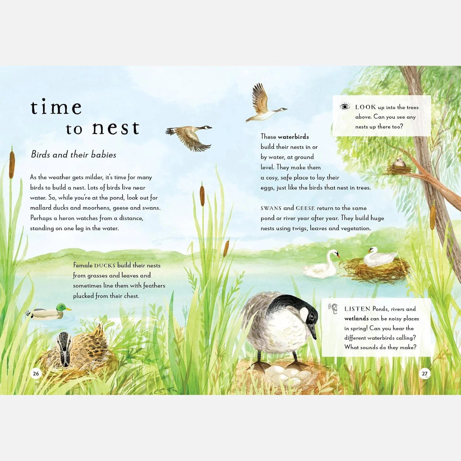 A Field Guide to Spring Play and Learn in Nature - Image 9