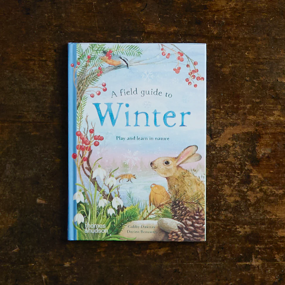 A Field Guide to Winter Play and Learn in Nature