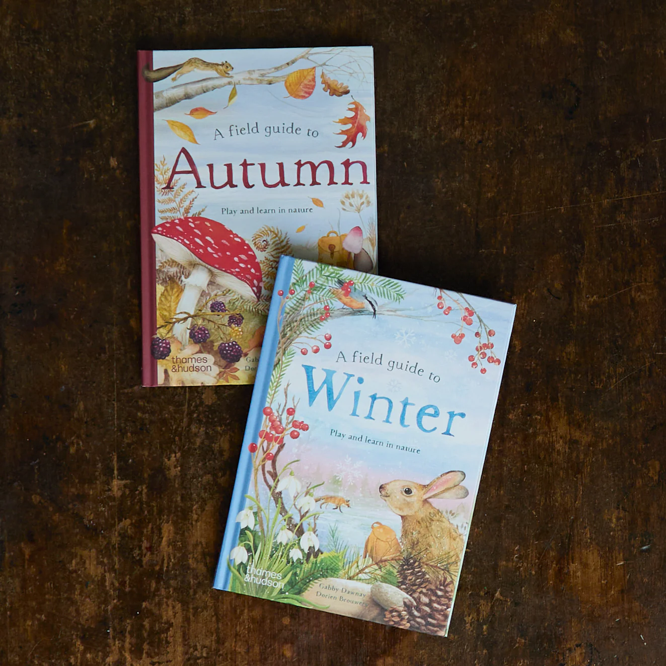 A Field Guide to Winter Play and Learn in Nature - Image 2