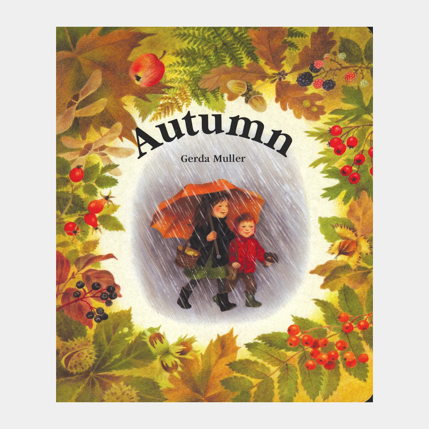 Seasons Board Books - Spring, Summer, Autumn or Winter - Image 3