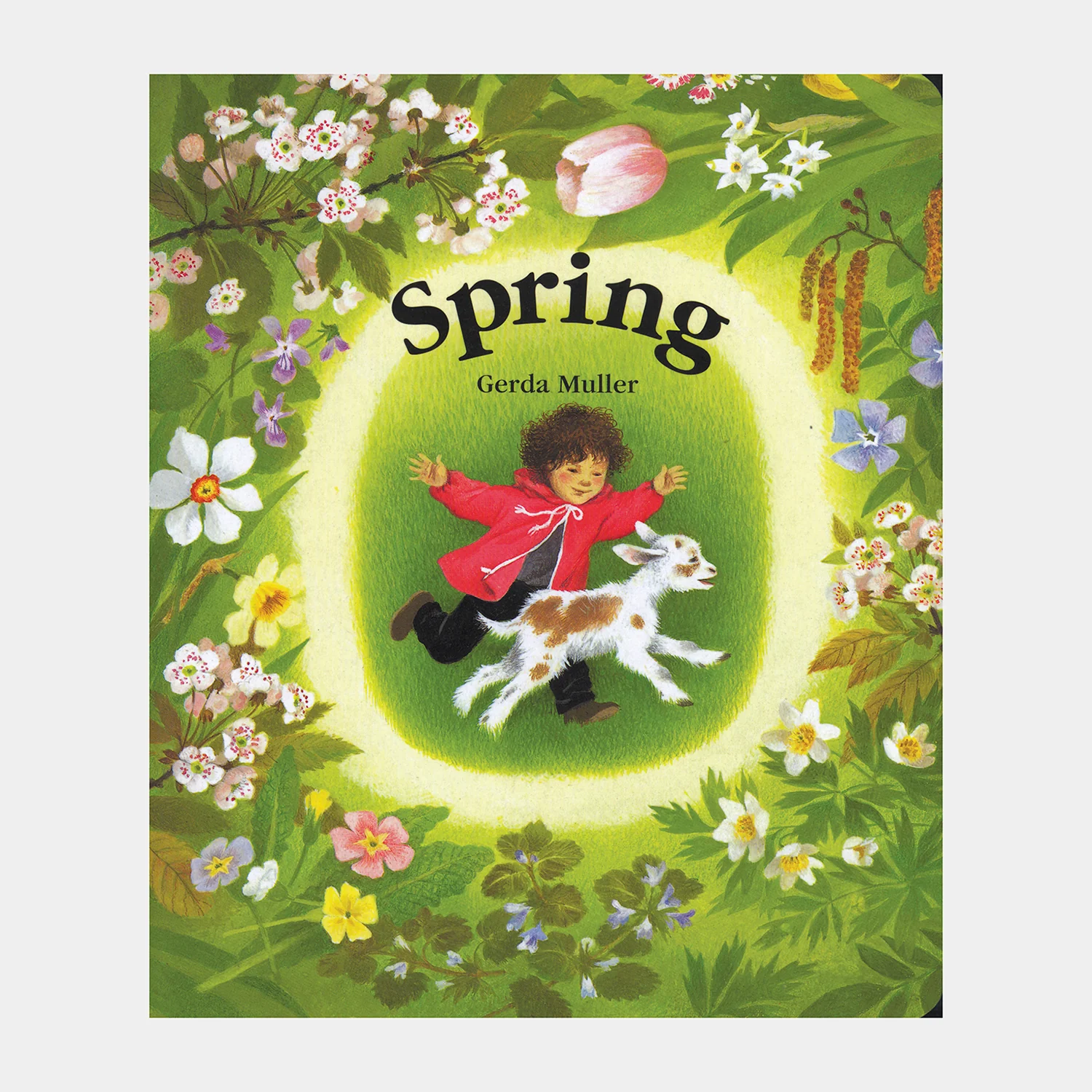 Seasons Board Books - Spring, Summer, Autumn or Winter - Image 4