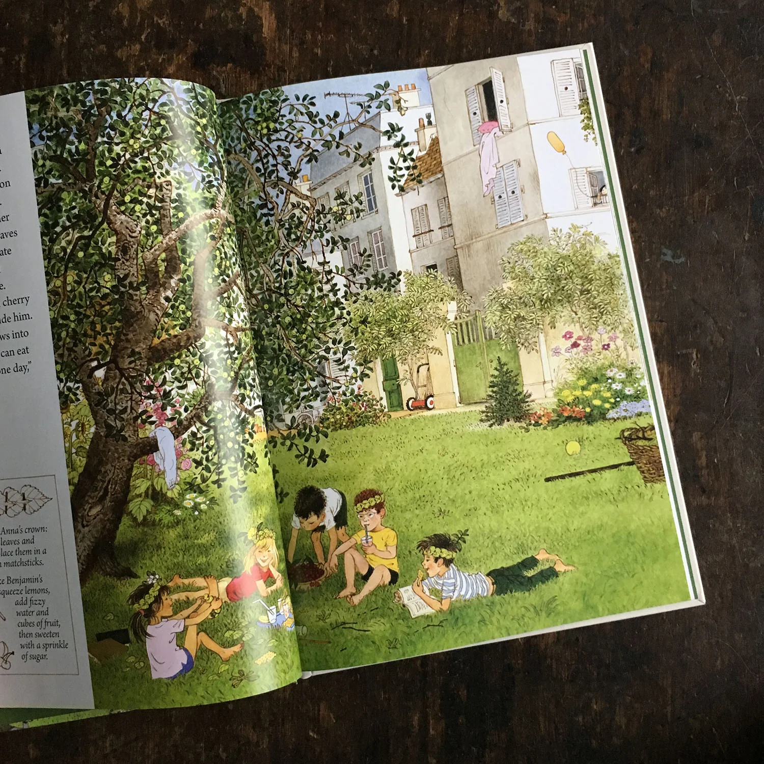 A Year in Our New Garden - Image 3