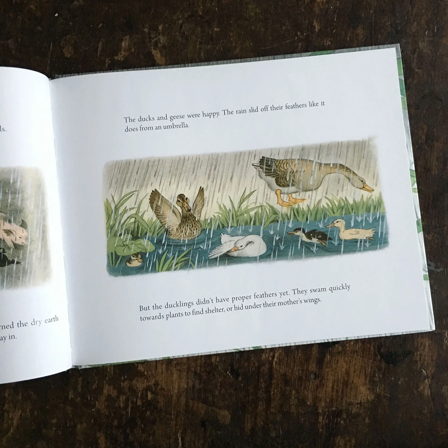 Where Do They Go When It Rains? - Image 2