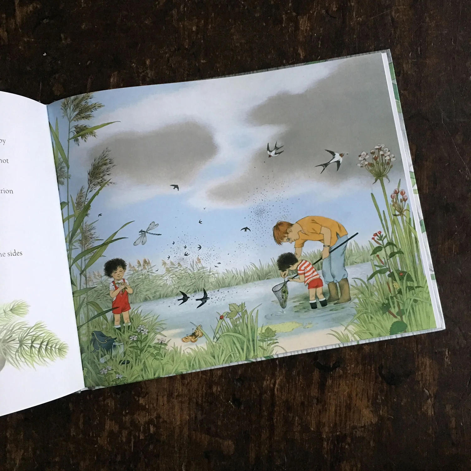 Where Do They Go When It Rains? - Image 3