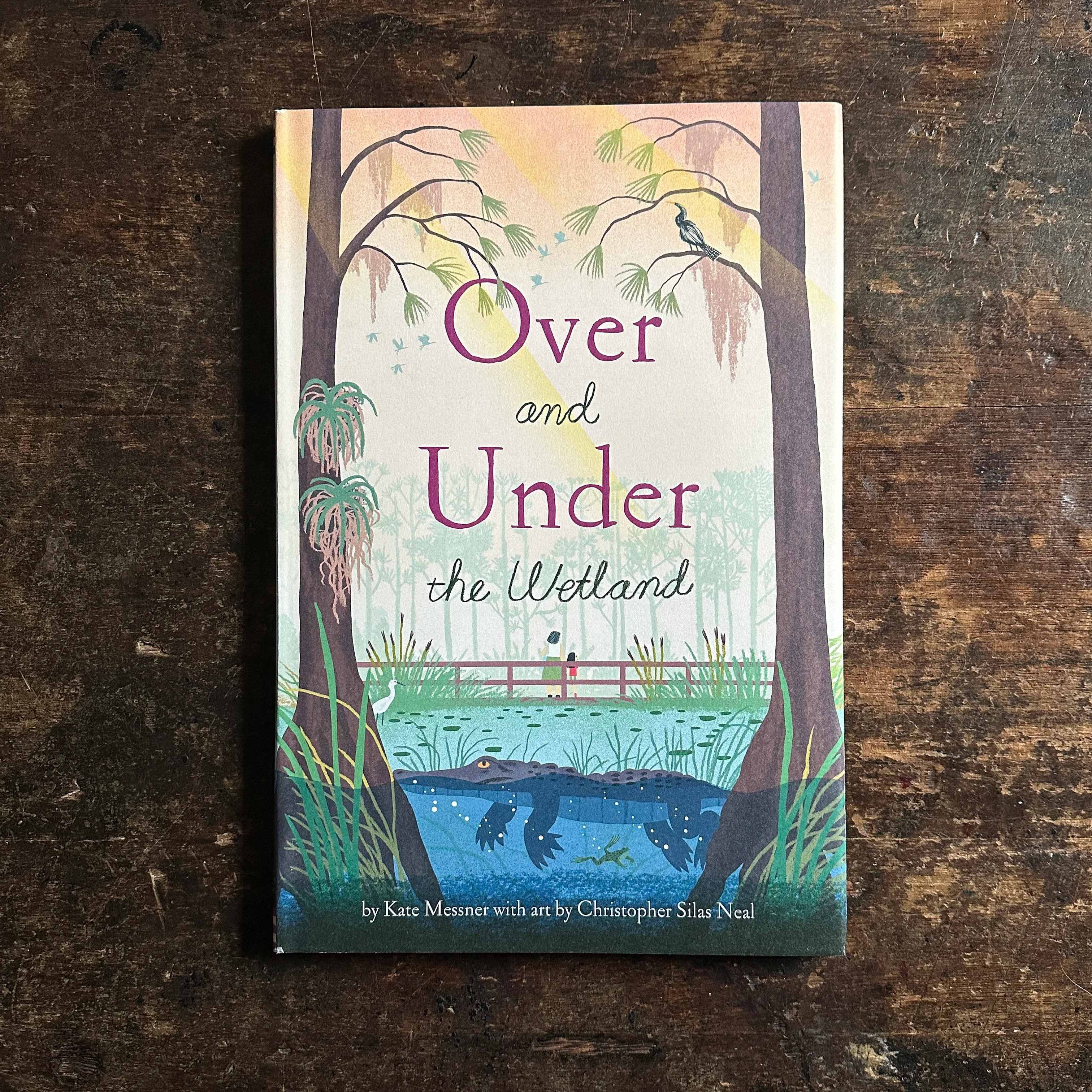 Over and Under the Wetland