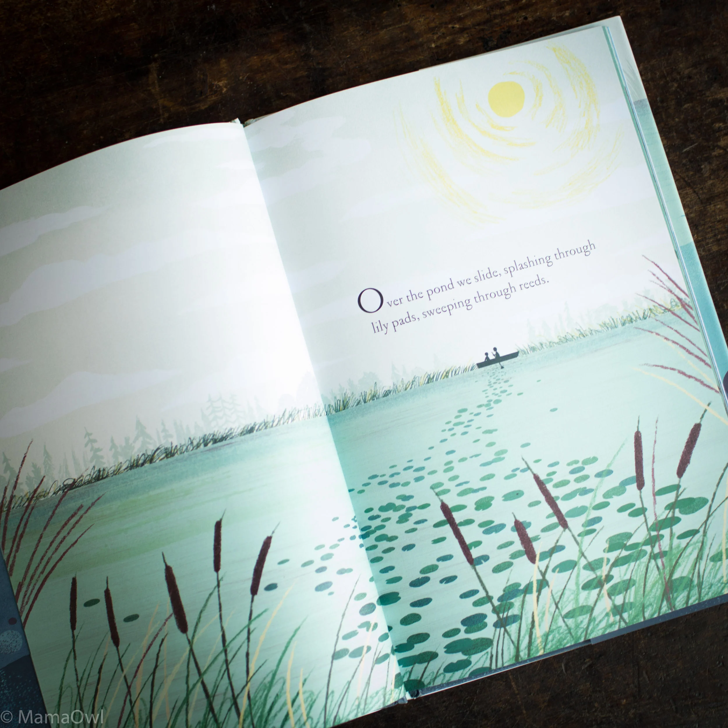 Over And Under The Pond - Image 3