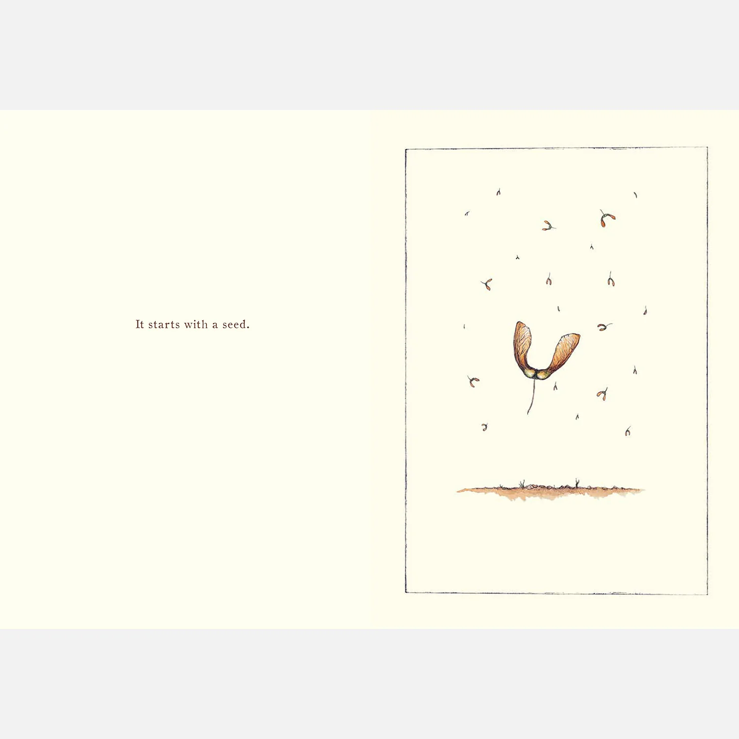 It Starts With A Seed - Image 2
