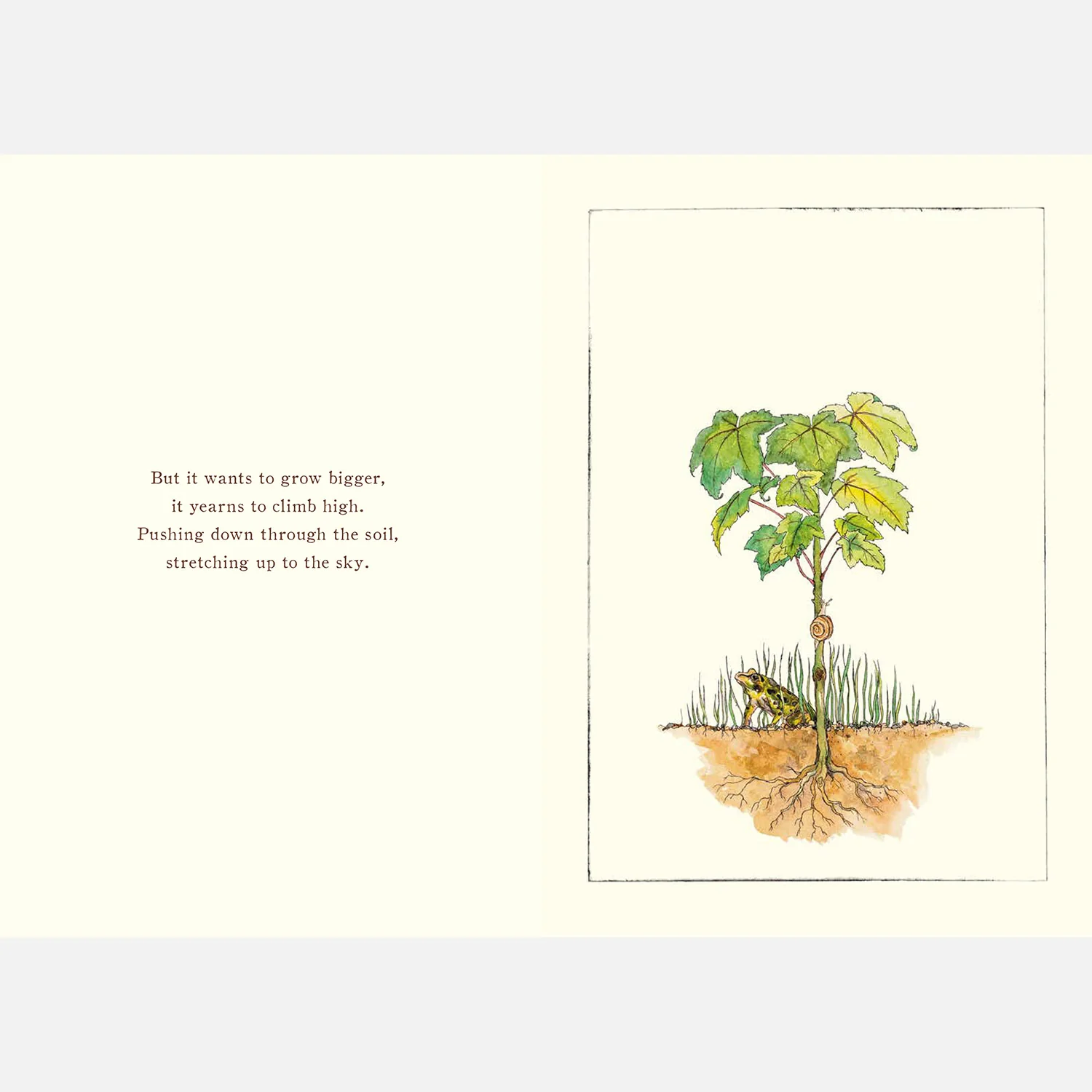 It Starts With A Seed - Image 3