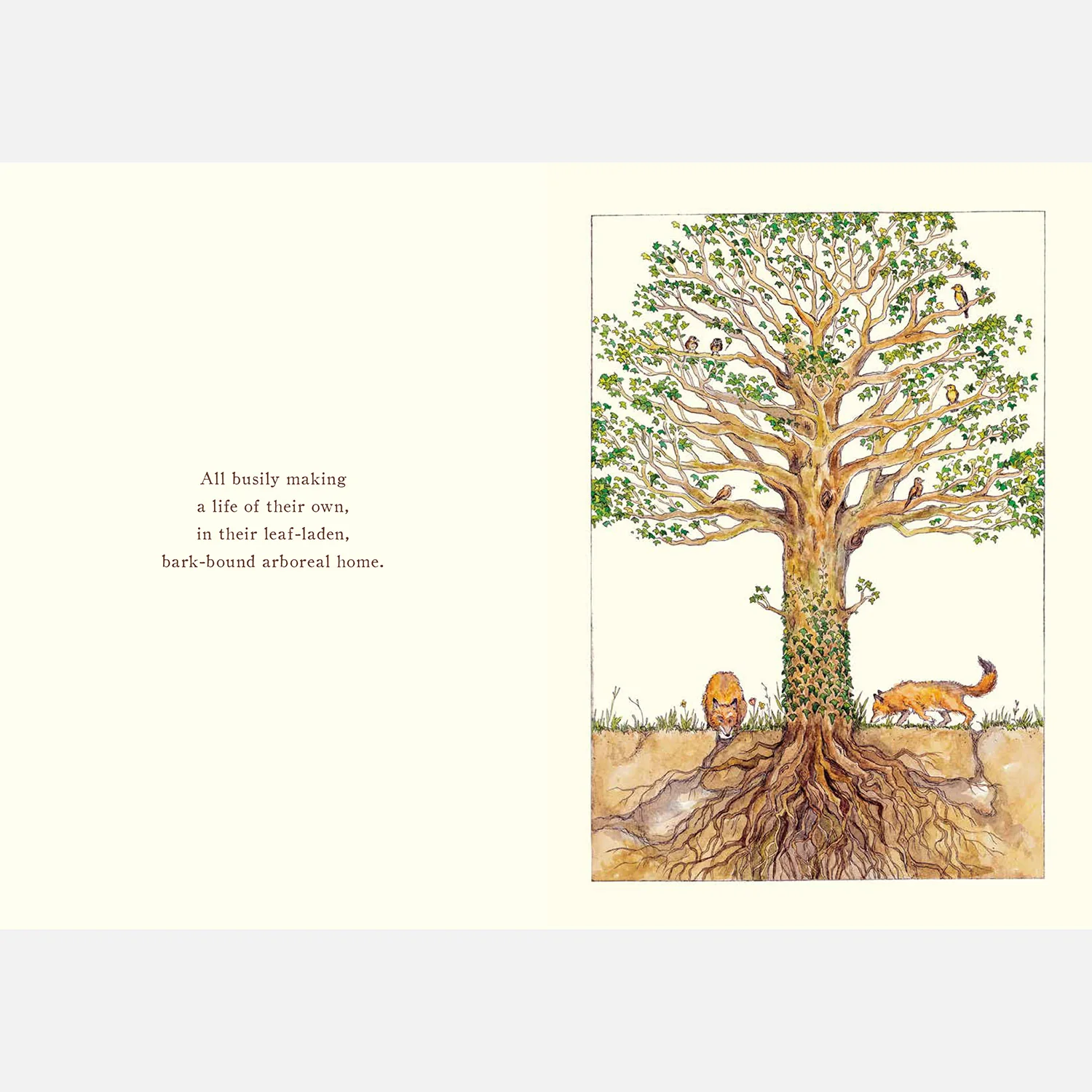 It Starts With A Seed - Image 4