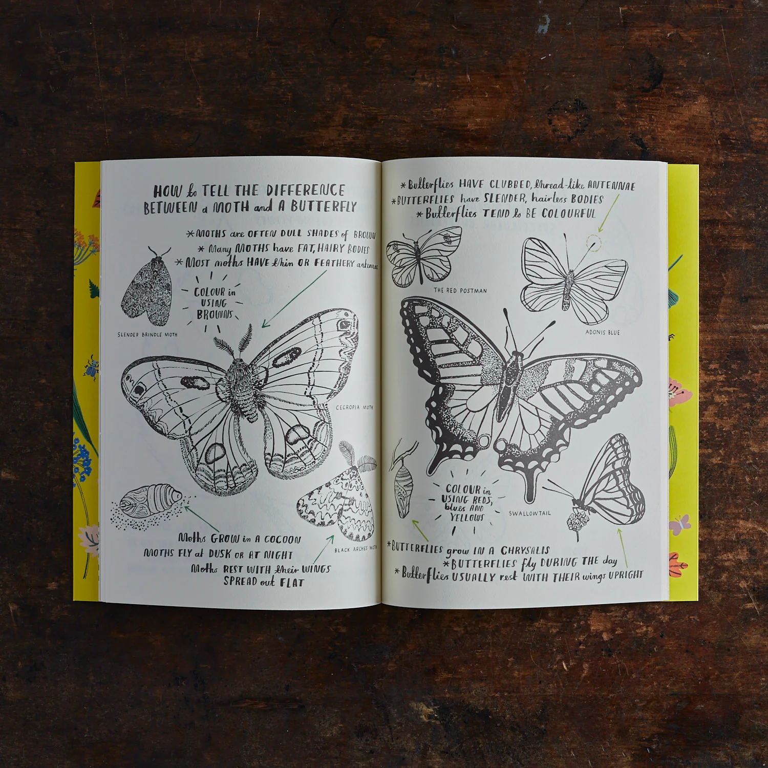 Hello Nature Activity Book - Image 2