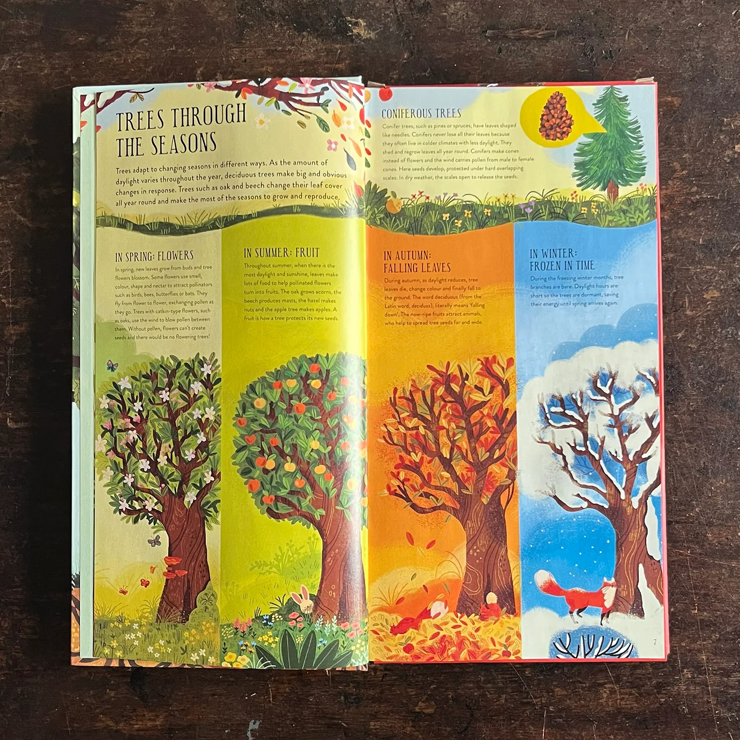 Make and Play: Build A Tree - Image 2