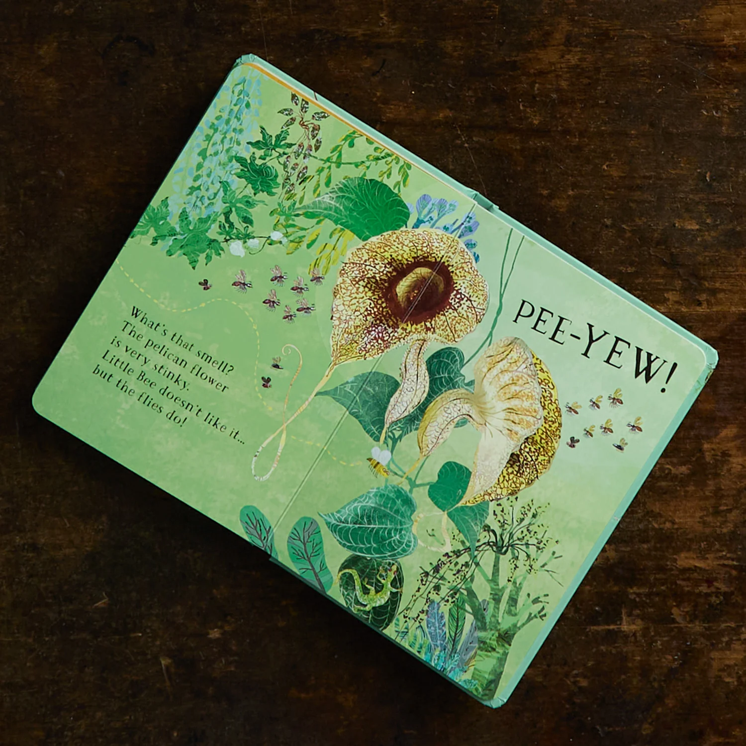 Little Bee's Book of Blooms - Image 2