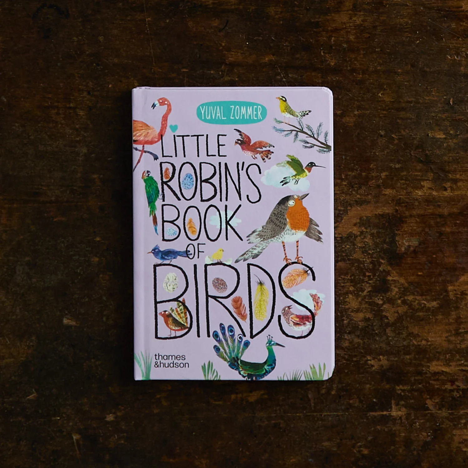 Little Robin's Book of Birds