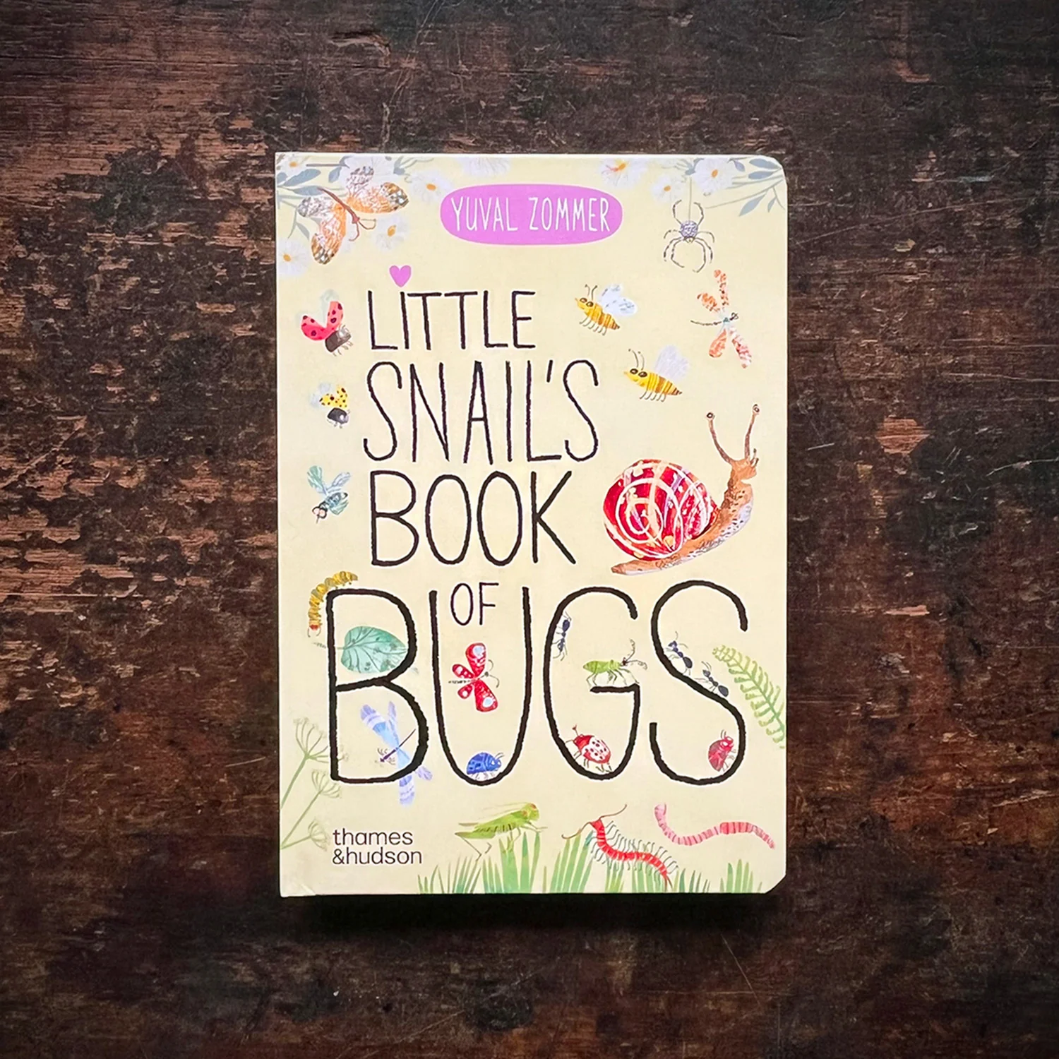 Little Snail's Book of Bugs