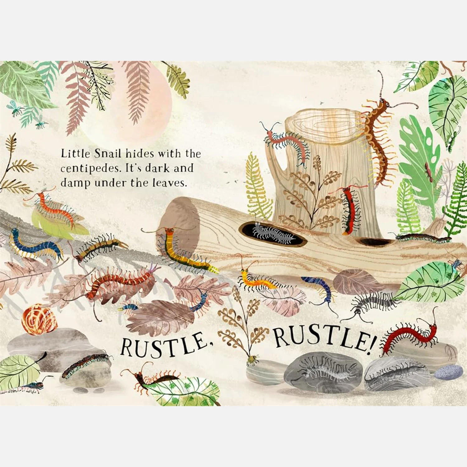Little Snail's Book of Bugs - Image 3