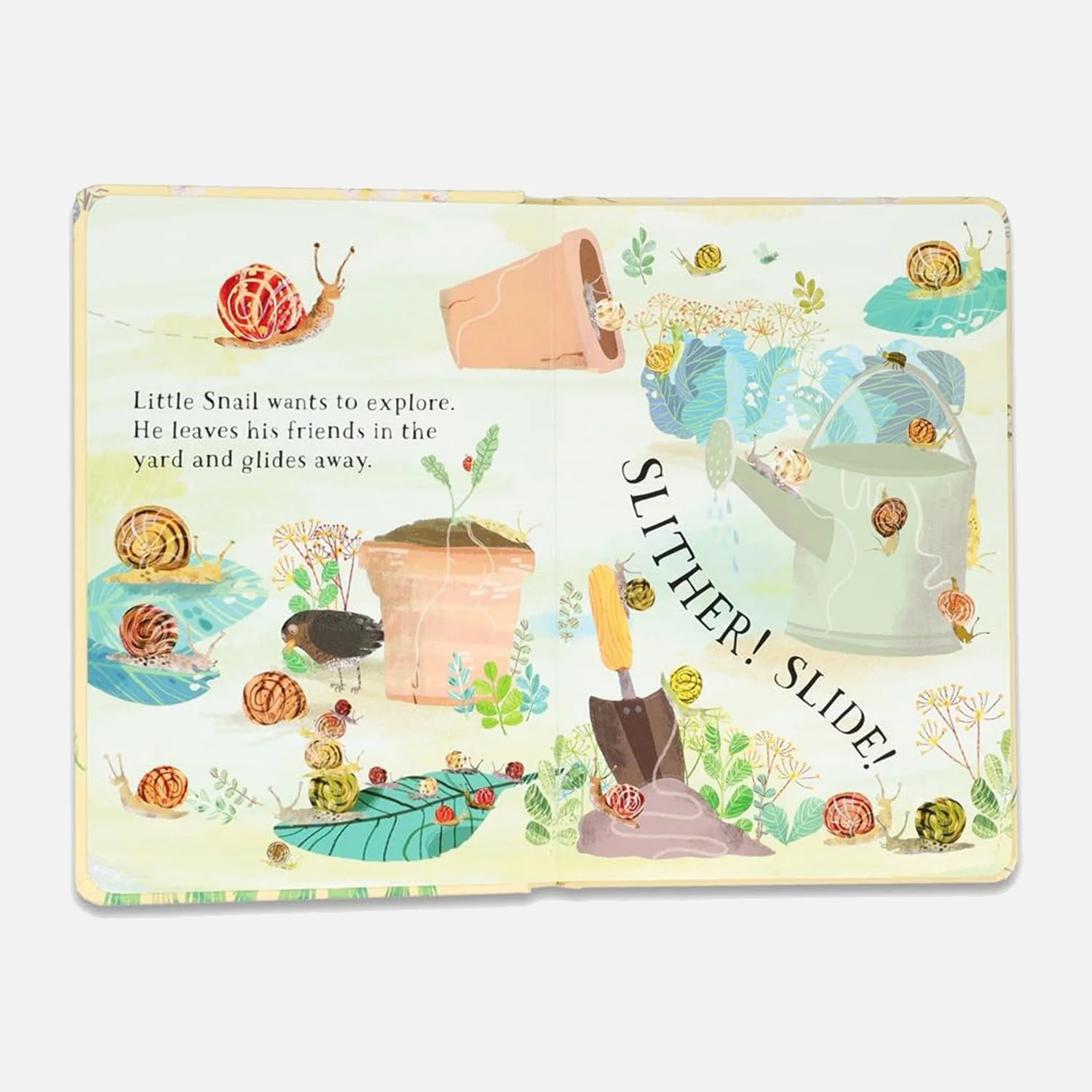 Little Snail's Book of Bugs - Image 5