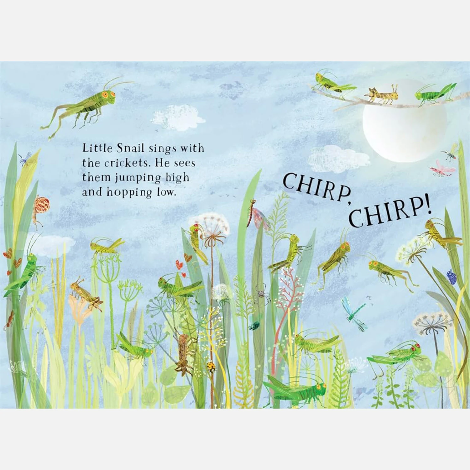 Little Snail's Book of Bugs - Image 6