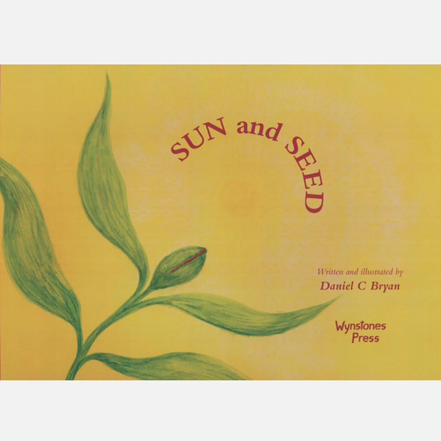 Sun and Seed - Image 2