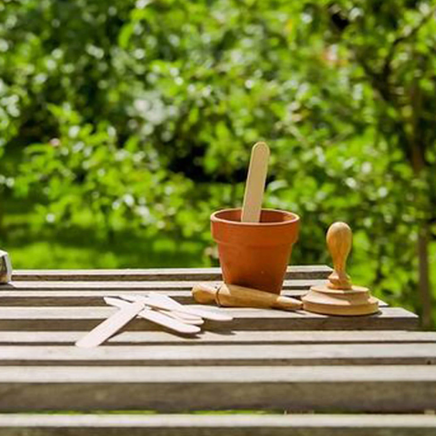 Wooden Seed Labels - Image 3