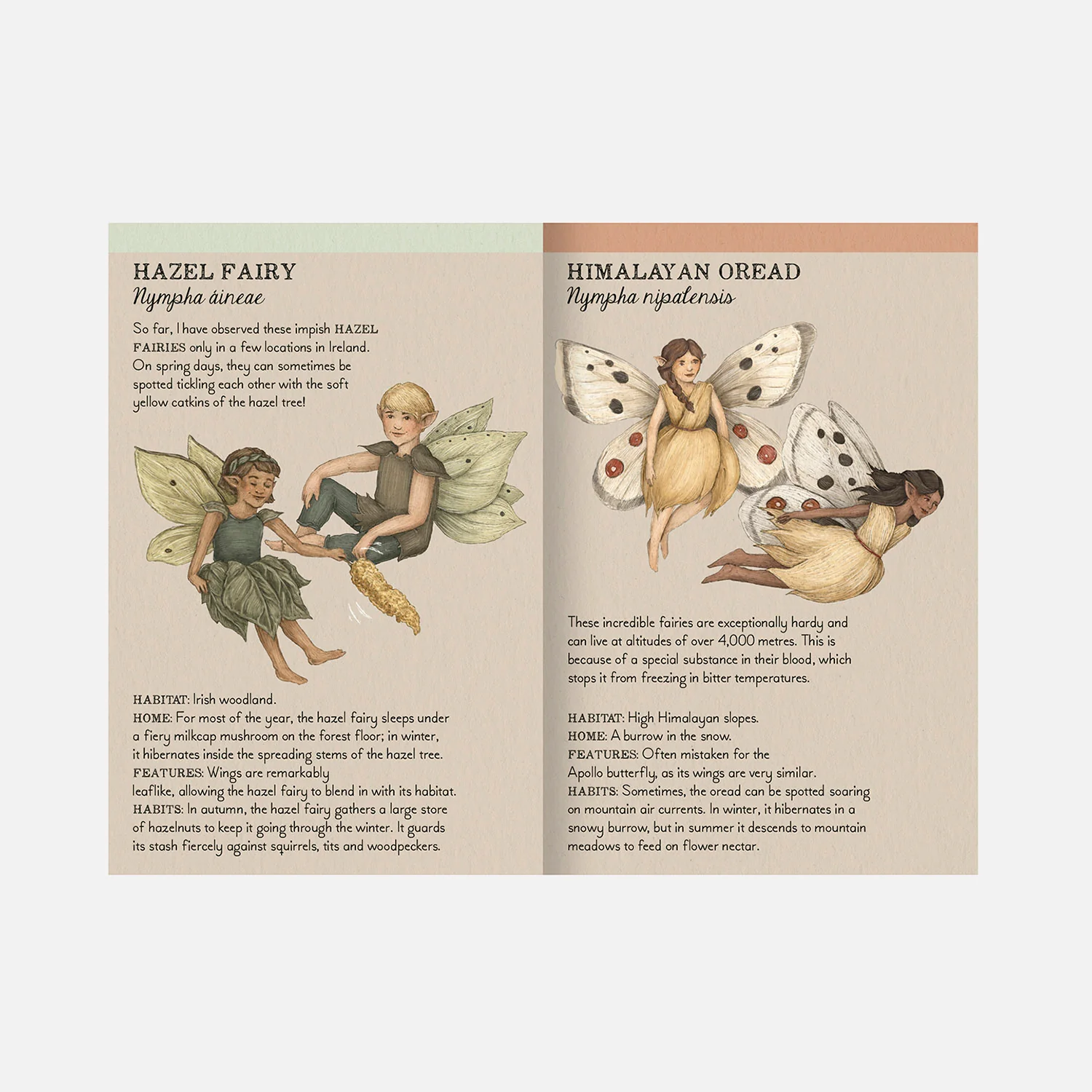 Find the Fairies Memory Game - Image 10