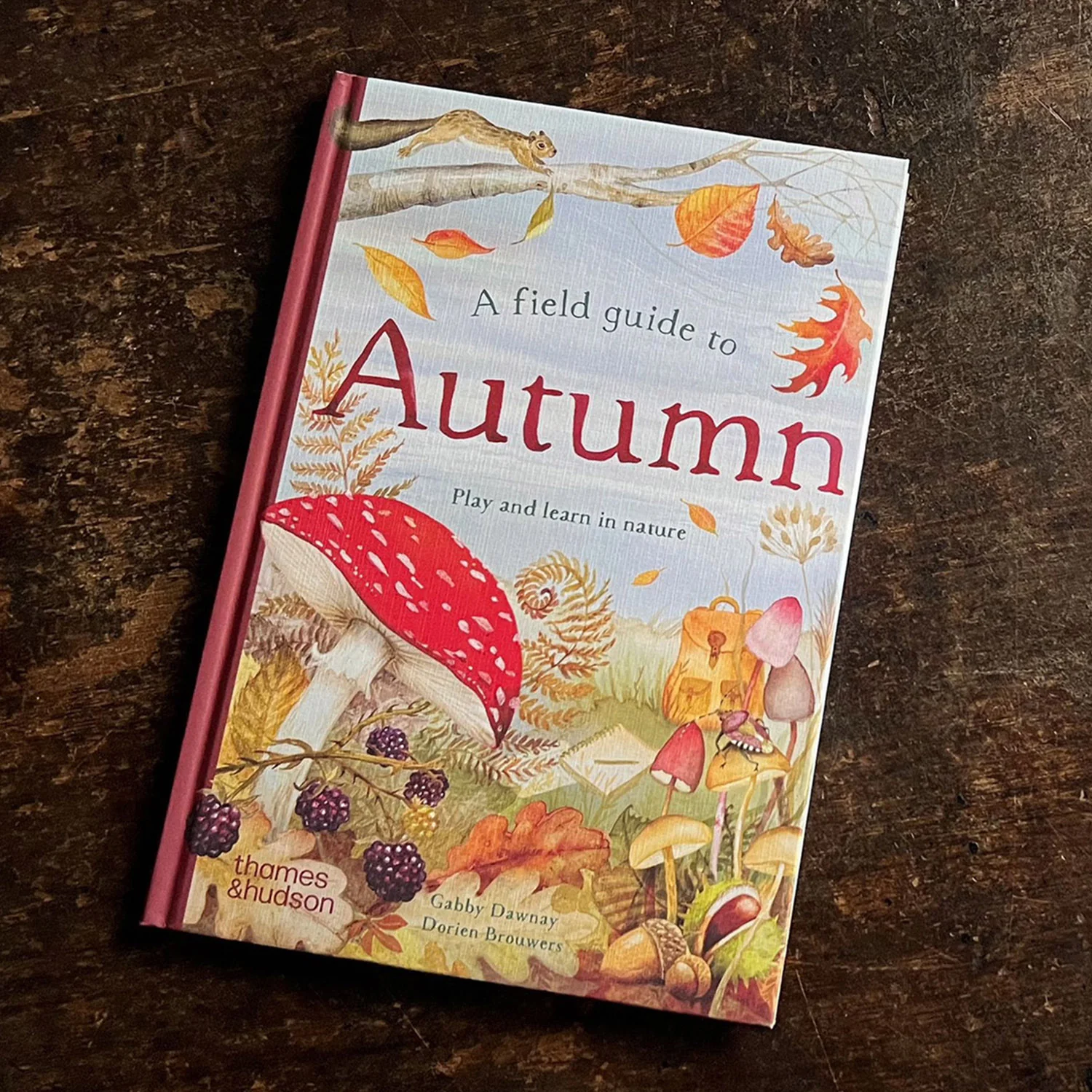 A Field Guide to Autumn, Play and Learn in Nature