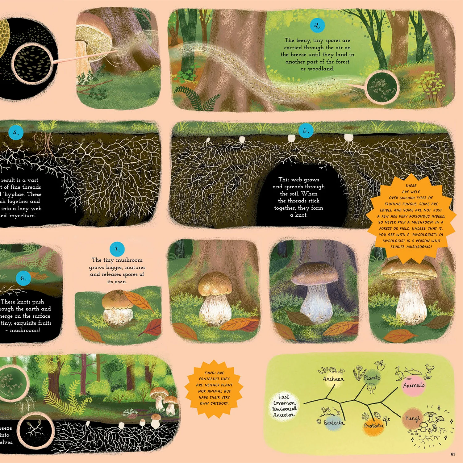 Round and Round Goes Mother Nature - Image 10