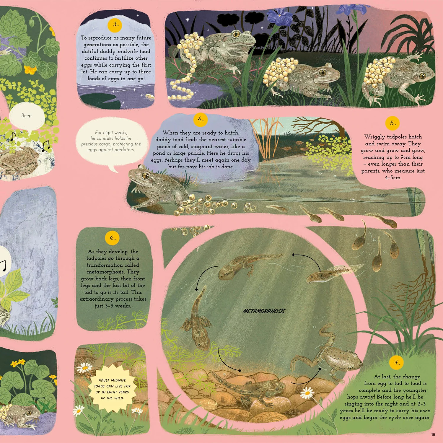 Round and Round Goes Mother Nature - Image 12