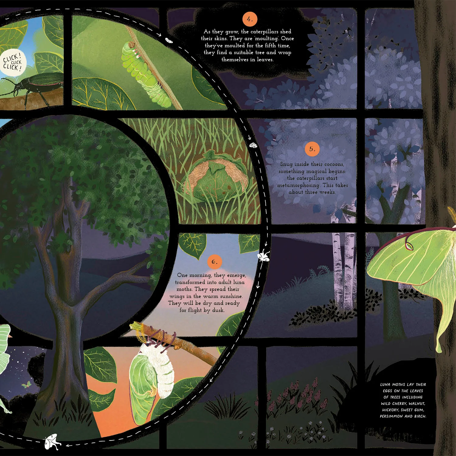 Round and Round Goes Mother Nature - Image 14