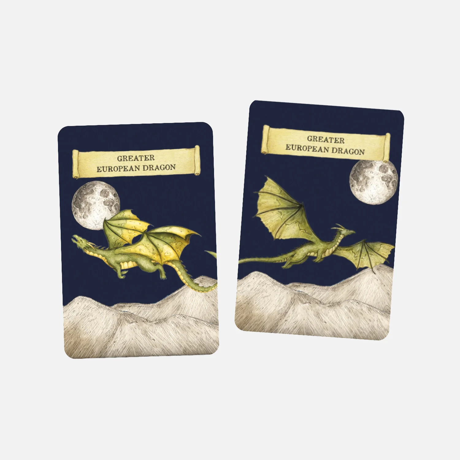 Discover the Dragons Memory Game - Image 3