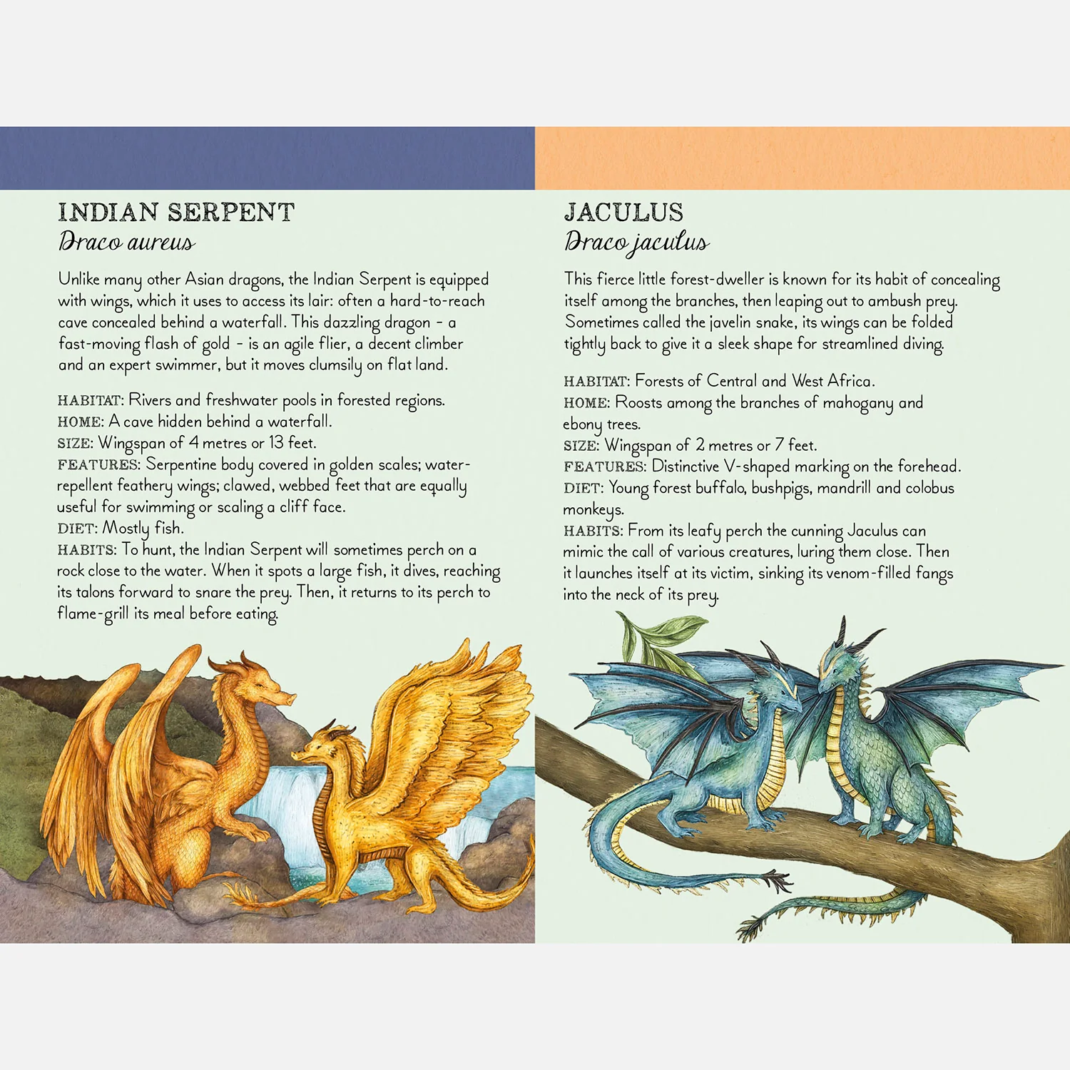 Discover the Dragons Memory Game - Image 5