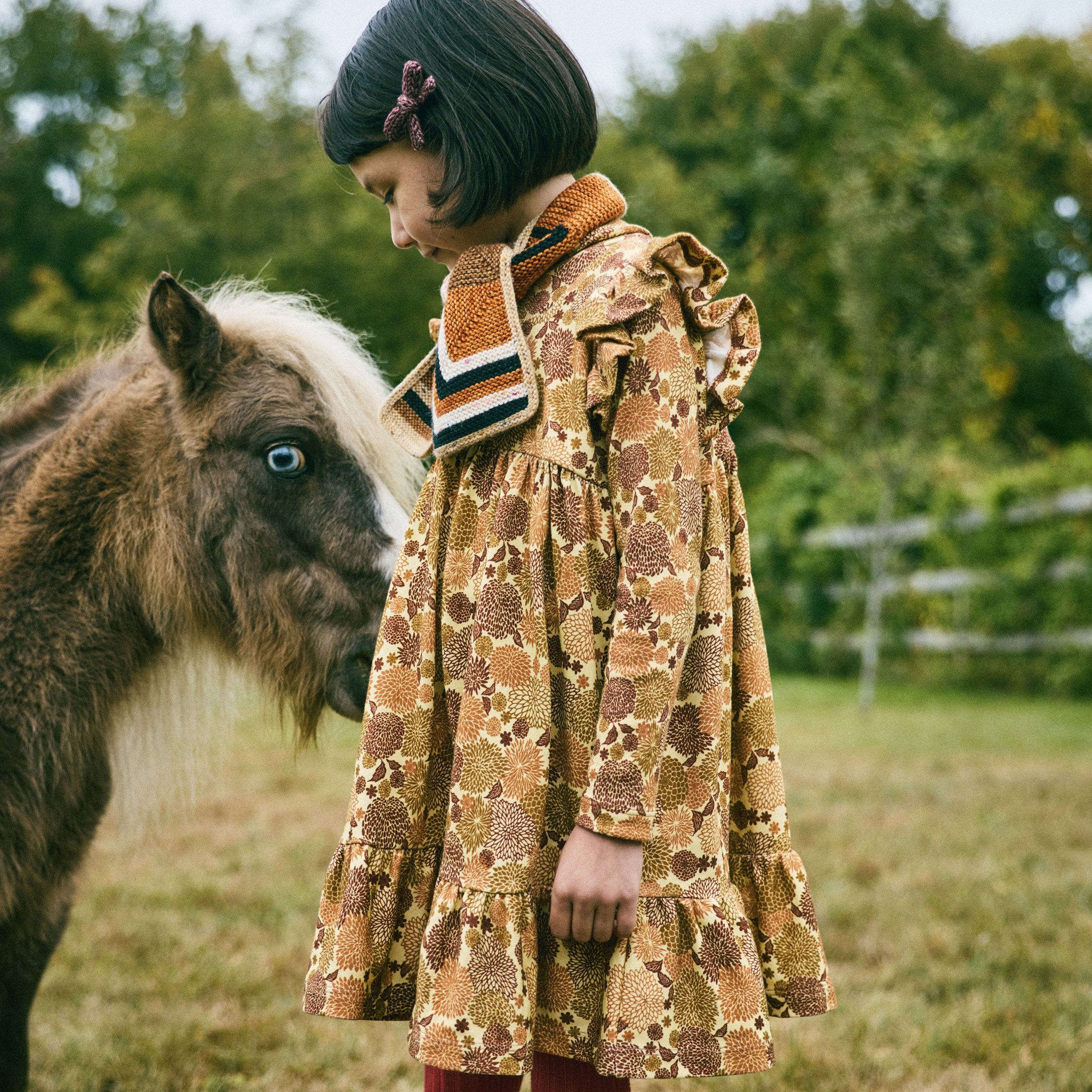 Kids Pima Cotton Ruffle Sleeve Dress - Acorn Chrysanthemum