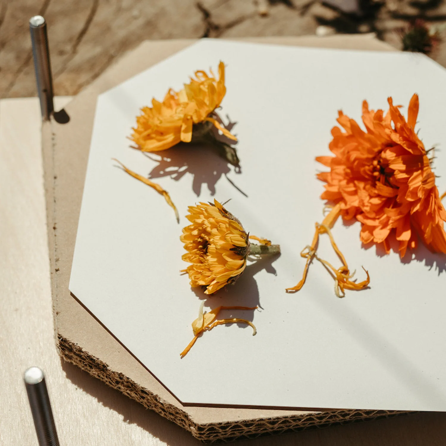 Natural Wooden Flower Press - Image 3