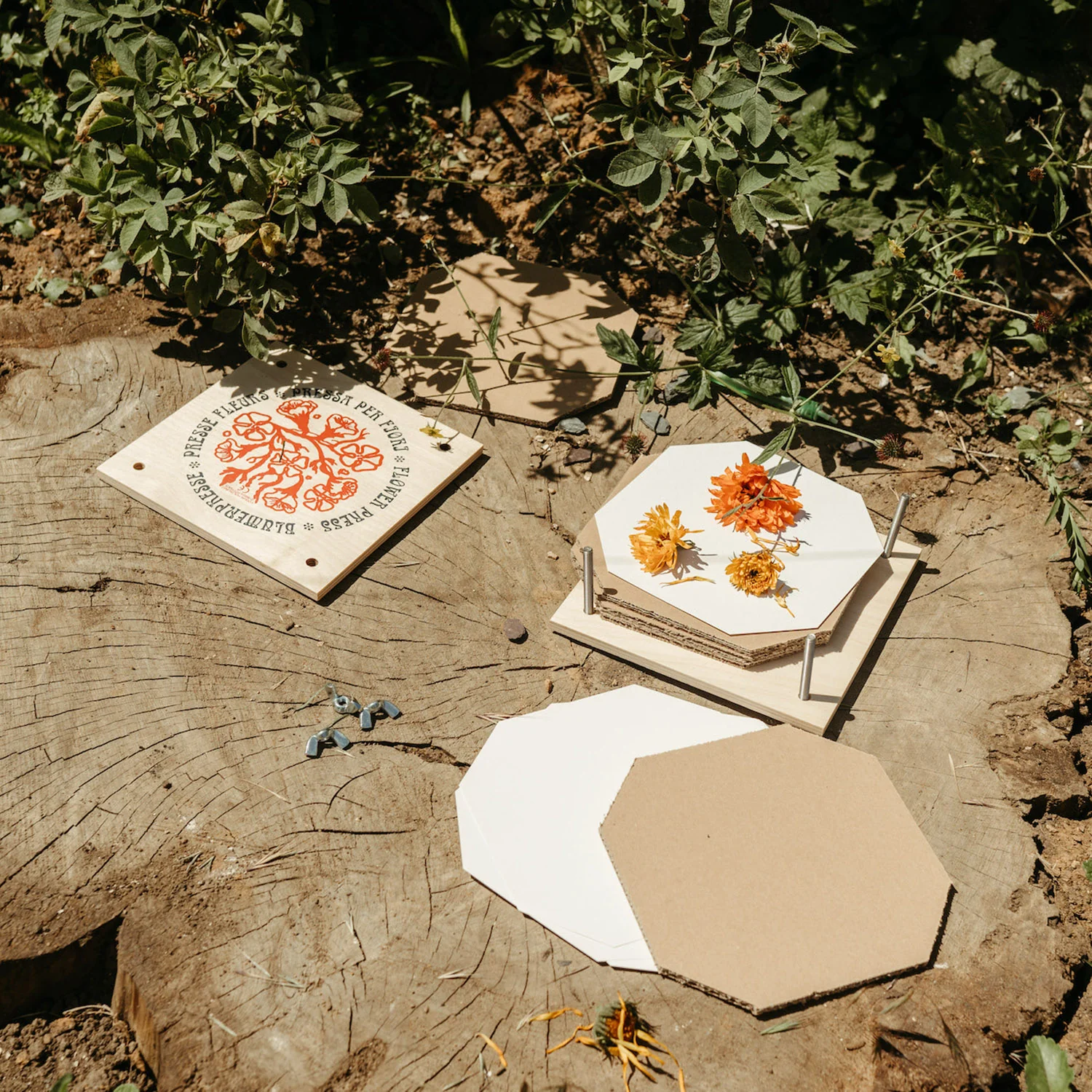 Natural Wooden Flower Press - Image 4