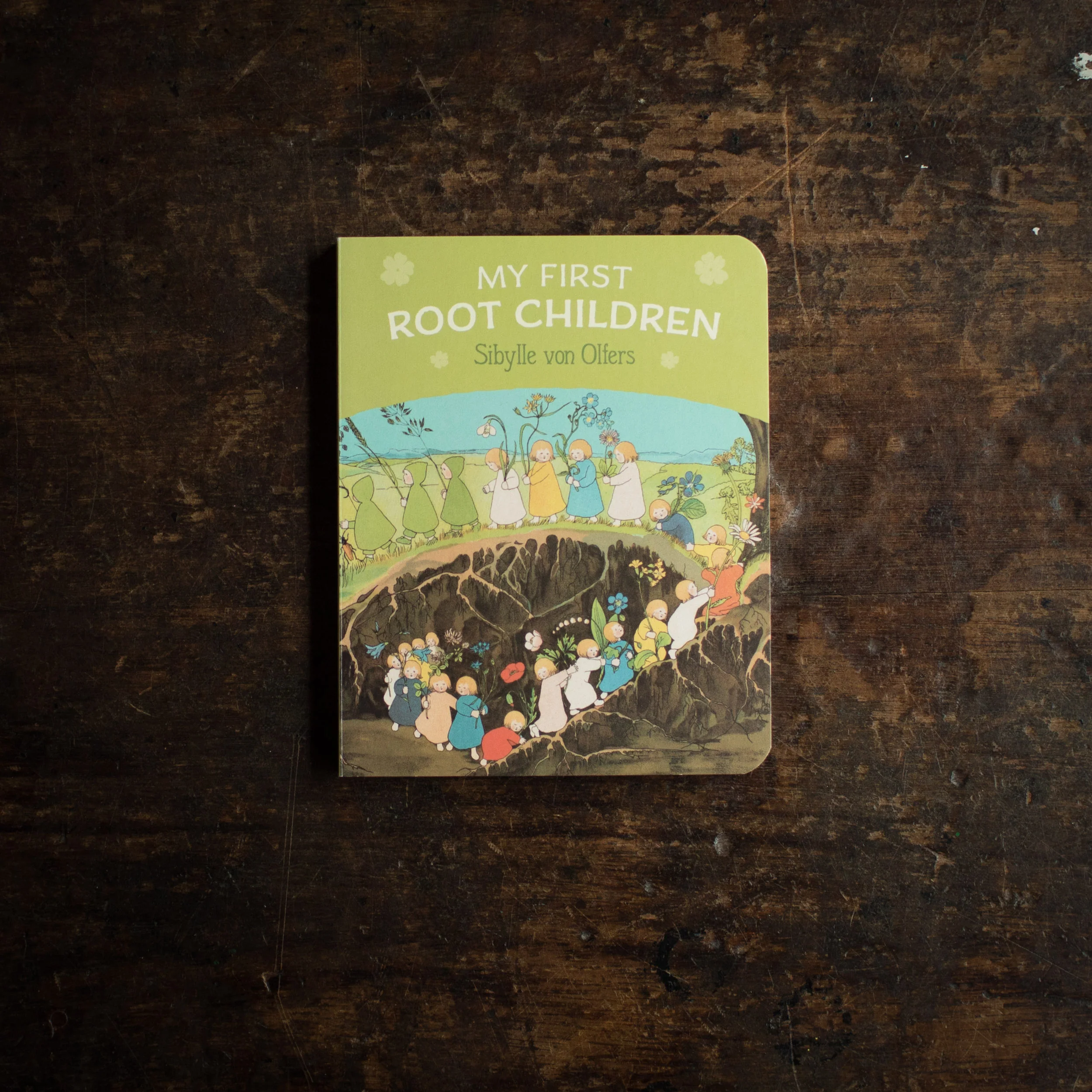 My First Root Children Board Book