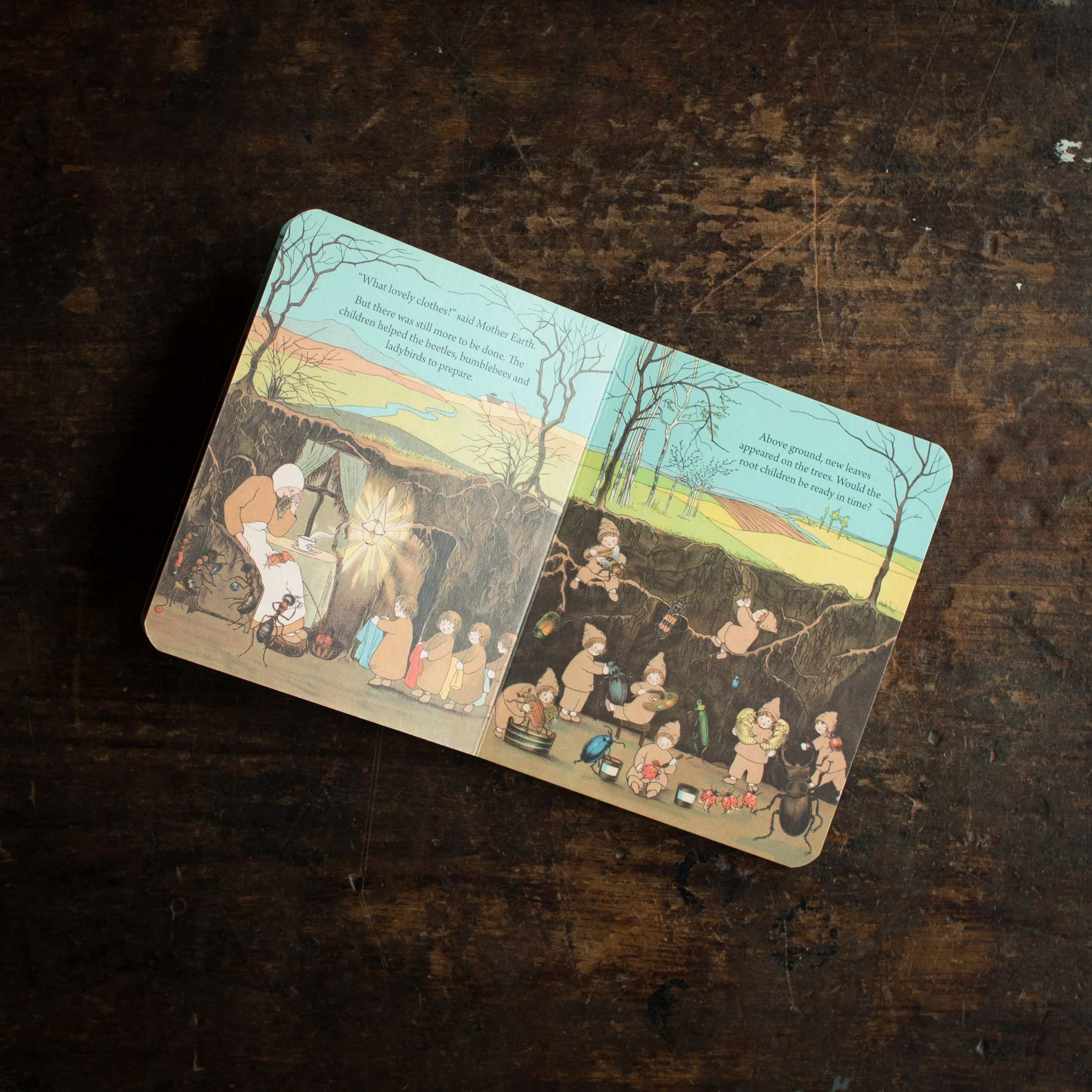 My First Root Children Board Book - Image 2