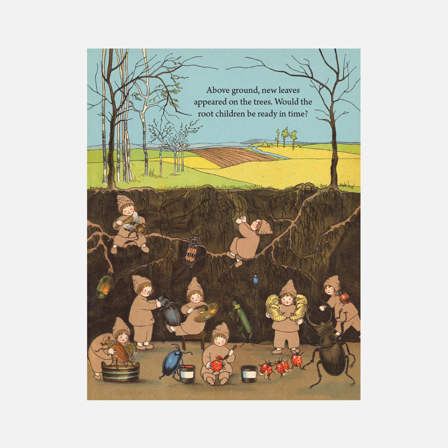My First Root Children Board Book - Image 7