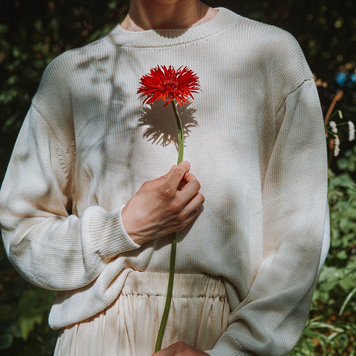Women's Cotton Knit Sweater - Biscuit - Image 2